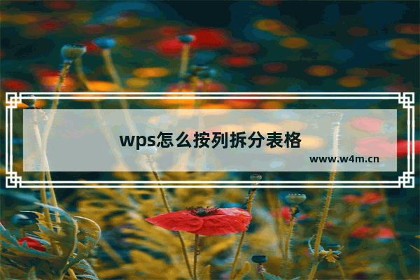 wps怎么按列拆分表格