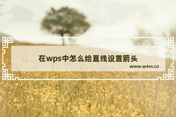 在wps中怎么给直线设置箭头