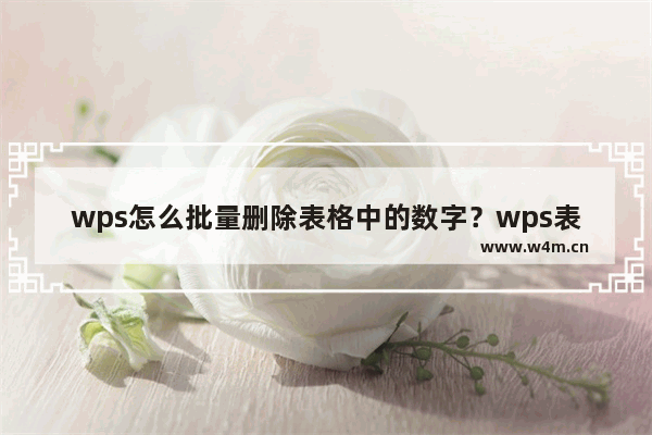 wps怎么批量删除表格中的数字？wps表格批量删除数字教程