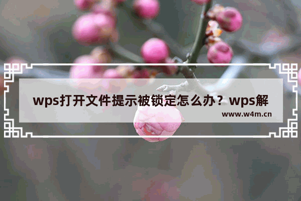 wps打开文件提示被锁定怎么办？wps解除只读模式方法