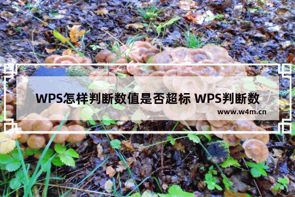 WPS怎样判断数值是否超标 WPS判断数值超标的方法