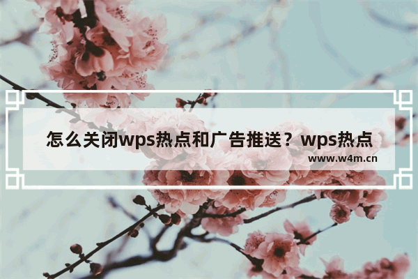 怎么关闭wps热点和广告推送？wps热点最新永久关闭方法教程