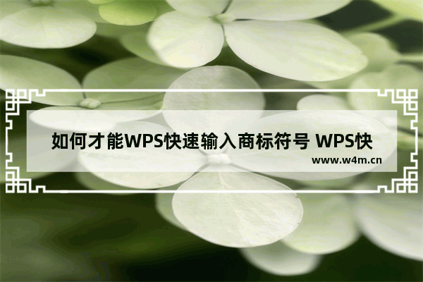 如何才能WPS快速输入商标符号 WPS快速输入商标符