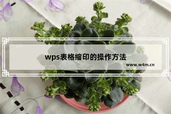 wps表格缩印的操作方法