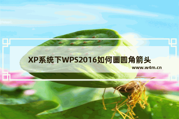 XP系统下WPS2016如何画圆角箭头