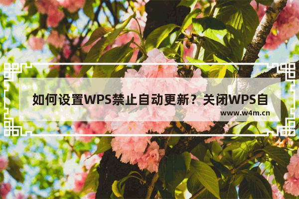 如何设置WPS禁止自动更新？关闭WPS自动升级功能