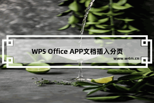 WPS Office APP文档插入分页符的图文教程