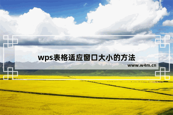 wps表格适应窗口大小的方法