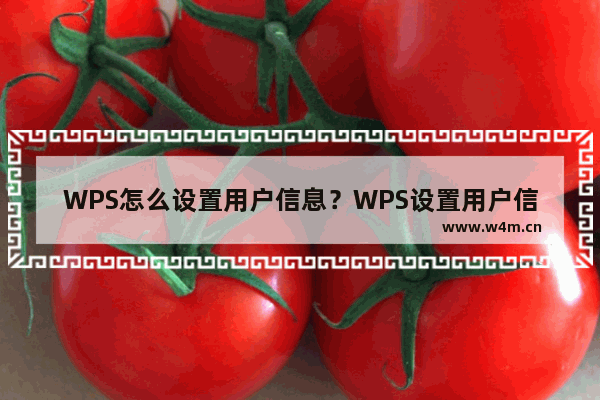 WPS怎么设置用户信息？WPS设置用户信息教程