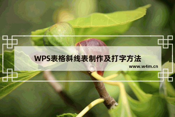 WPS表格斜线表制作及打字方法