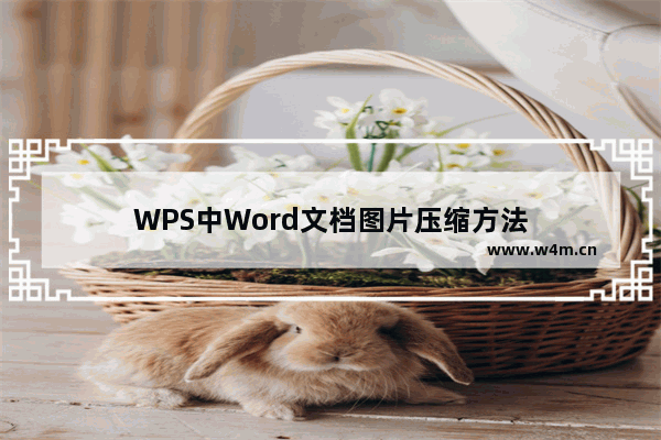 WPS中Word文档图片压缩方法