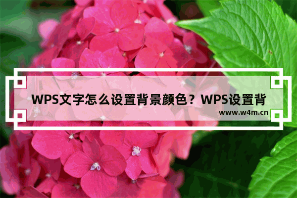 WPS文字怎么设置背景颜色？WPS设置背景颜色方法