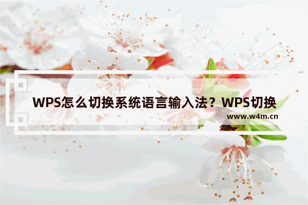 WPS怎么切换系统语言输入法？WPS切换系统语言输入法教程