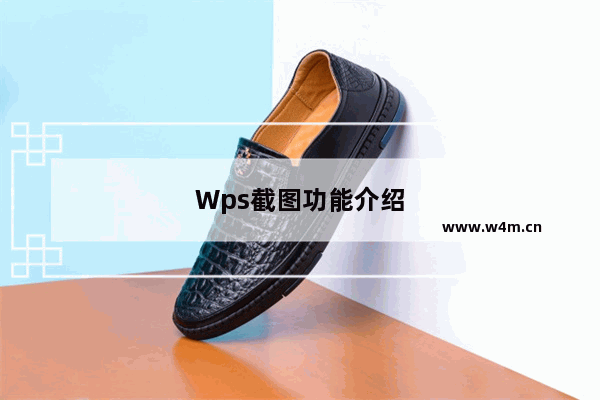 Wps截图功能介绍