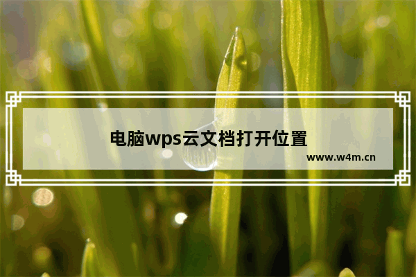 电脑wps云文档打开位置