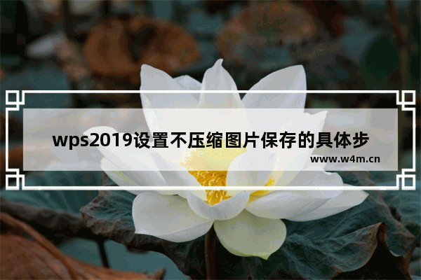 wps2019设置不压缩图片保存的具体步骤