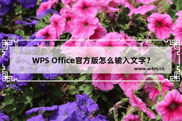 WPS Office官方版怎么输入文字？WPS Office官方版输入文字的方法