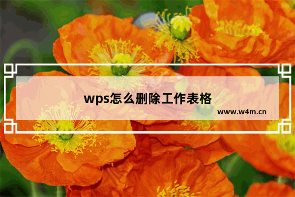 wps怎么删除工作表格