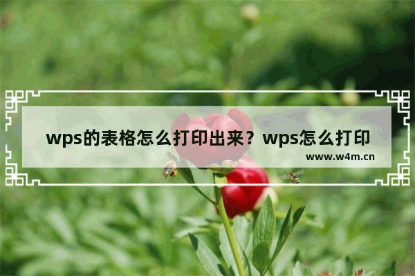 wps的表格怎么打印出来？wps怎么打印表格教程