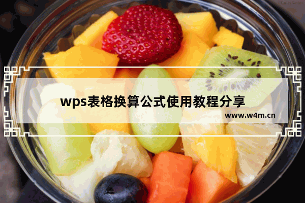 wps表格换算公式使用教程分享