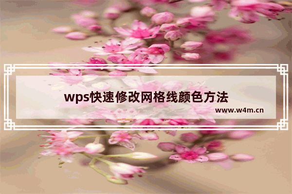 wps快速修改网格线颜色方法