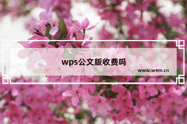 wps公文版收费吗