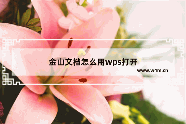 金山文档怎么用wps打开