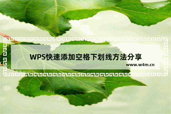 WPS快速添加空格下划线方法分享