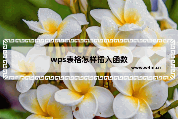 wps表格怎样插入函数