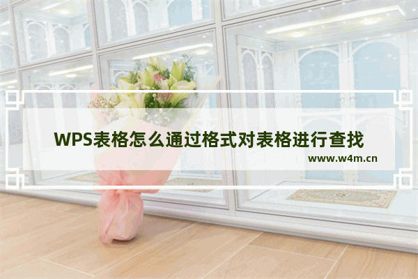 WPS表格怎么通过格式对表格进行查找