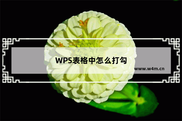 WPS表格中怎么打勾