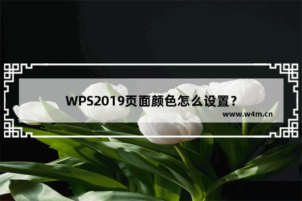 WPS2019页面颜色怎么设置？