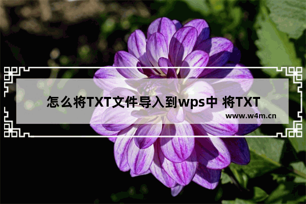 怎么将TXT文件导入到wps中 将TXT文件导入到wps中的具体方法