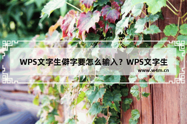 WPS文字生僻字要怎么输入？WPS文字生僻字输入方法