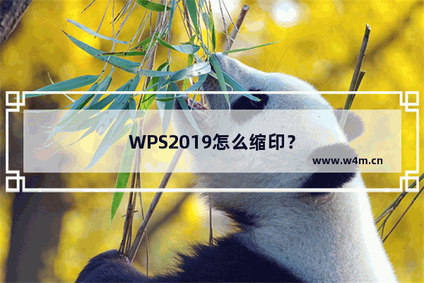 WPS2019怎么缩印？