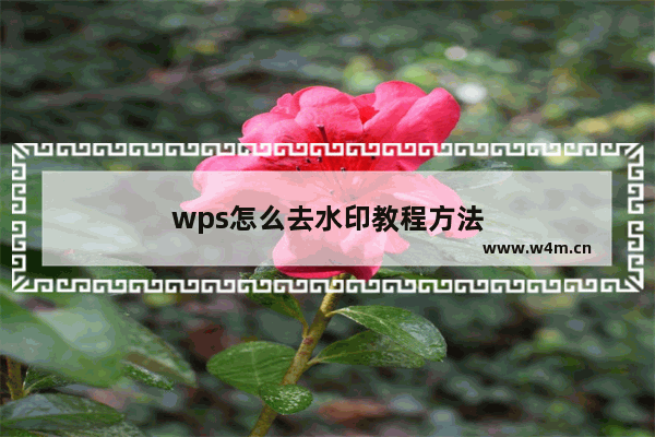 wps怎么去水印教程方法