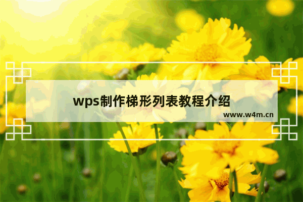 wps制作梯形列表教程介绍