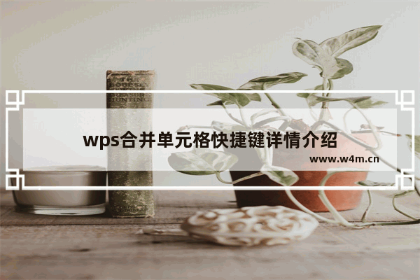 wps合并单元格快捷键详情介绍