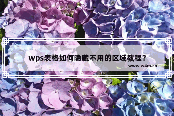 wps表格如何隐藏不用的区域教程？