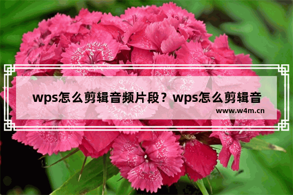 wps怎么剪辑音频片段？wps怎么剪辑音乐成文件教程