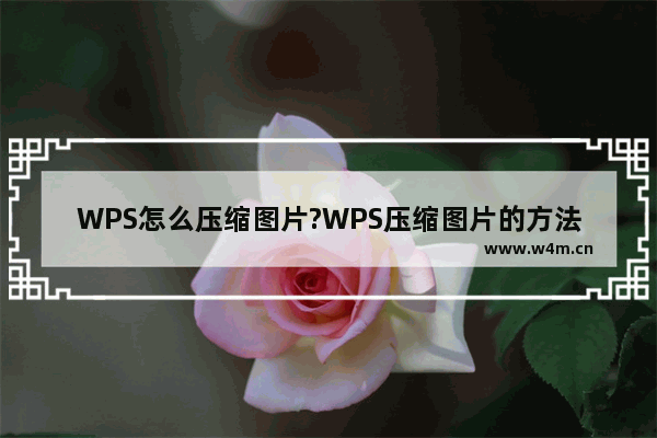 WPS怎么压缩图片?WPS压缩图片的方法