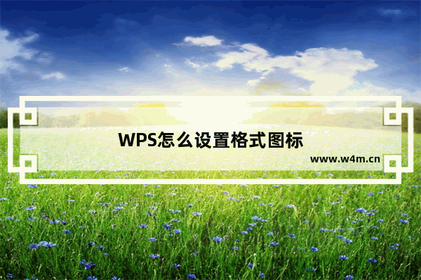 WPS怎么设置格式图标