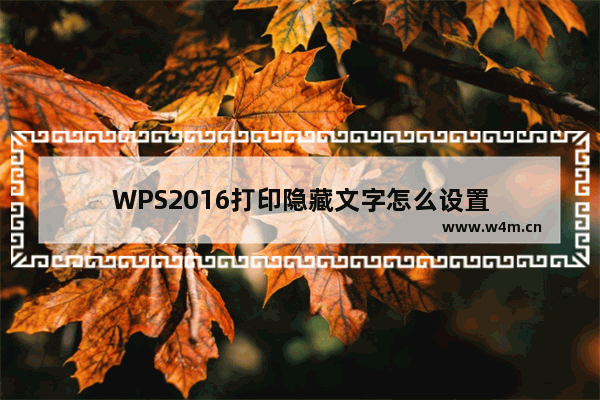 WPS2016打印隐藏文字怎么设置