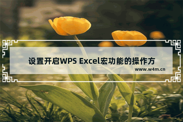 设置开启WPS Excel宏功能的操作方法