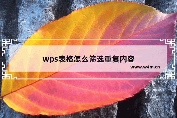 wps表格怎么筛选重复内容