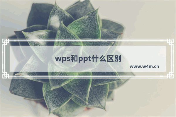 wps和ppt什么区别