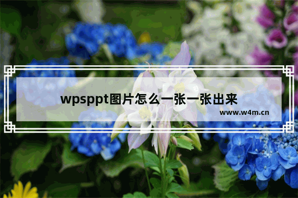 wpsppt图片怎么一张一张出来