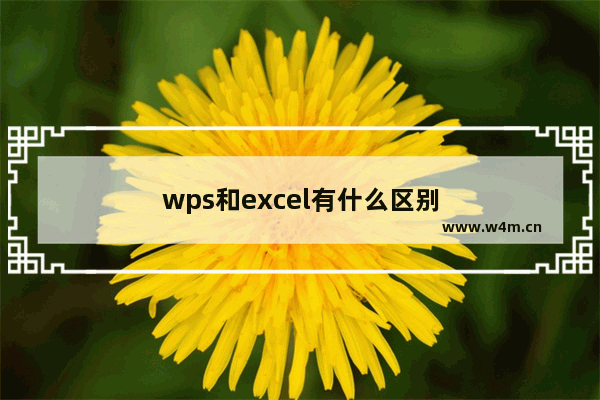 wps和excel有什么区别