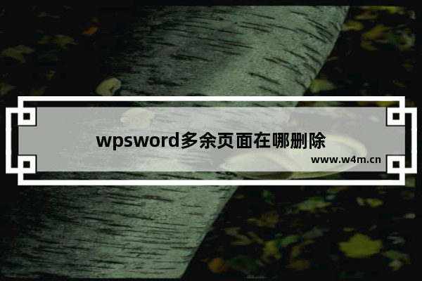 wpsword多余页面在哪删除