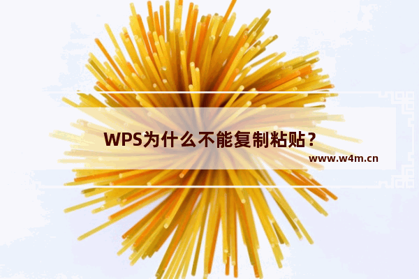 WPS为什么不能复制粘贴？